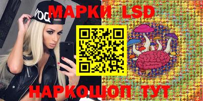 mdpv Заводоуковск