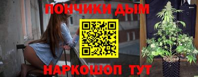крисы Донской