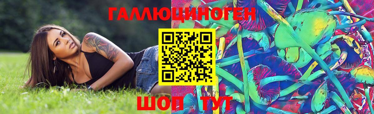 Галлюциногенные грибы MAGIC MUSHROOMS  Вход с VPN  где купить наркоту  Ефремов 