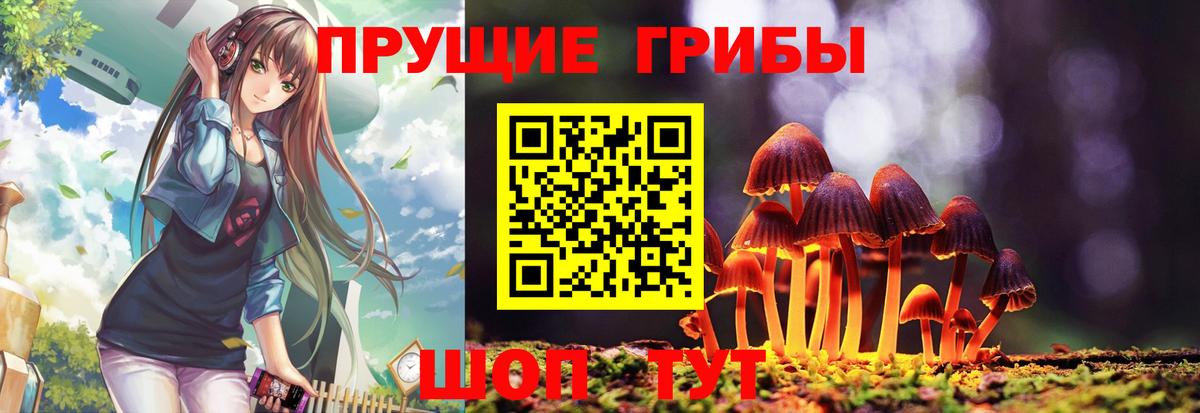 Псилоцибиновые грибы Cubensis Ефремов