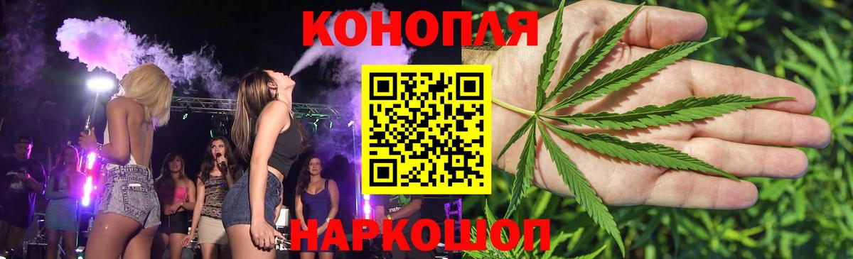 Каннабис сатива Ефремов